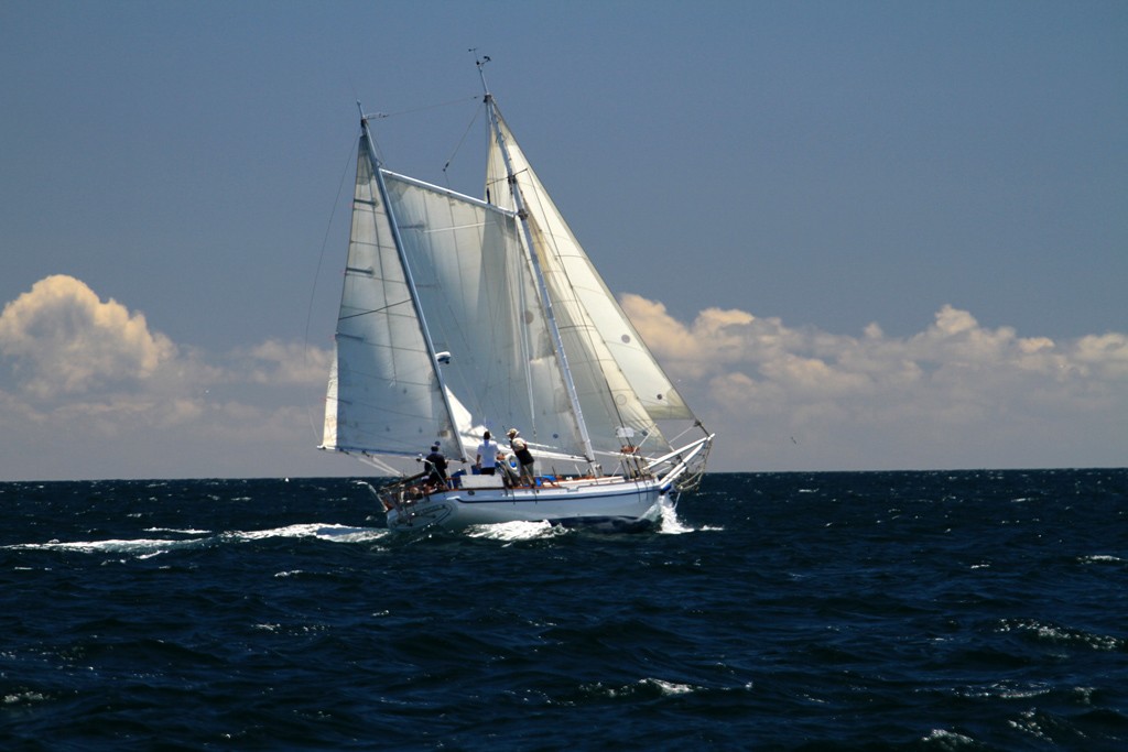 Southern Cross -  Tall Ships and Classics regatta in the Bay of Islands © Steve Western www.kingfishercharters.co.nz